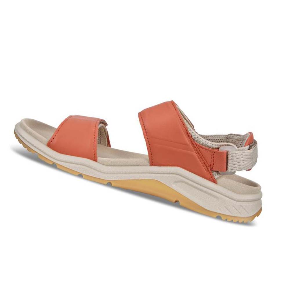 Ecco X-trinsic Flate Sandaler Dame Oub11v7w2n | NO 196NWY